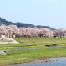 木登り
