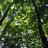 P6170023