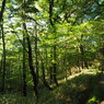 P6170027