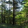 P6170030