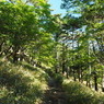 P6170034