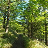 P6170035