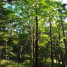 P6170041