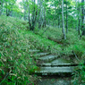 P6170045