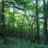 P6170048