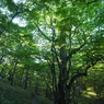 P6170049
