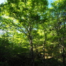 P6170051