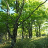 P6170055