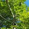 P6170089