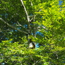 P6170090