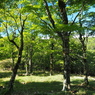 P6170092