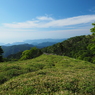 P6170177