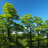 P6170185