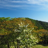 P6170206