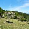 P6170215