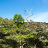 P6170216