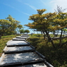 P6170261