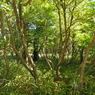 P6170281