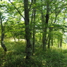 P6170285