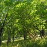 P6170299