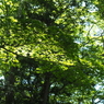 P6170303