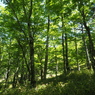 P6170309