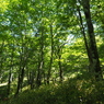 P6170310