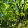 P6170325