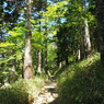 P6170330
