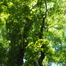 P6170337