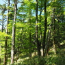 P6170338