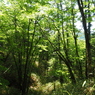 P6170346