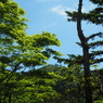 P6170352