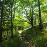 P6170355