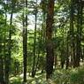 P6170361