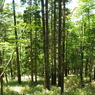 P6170362