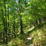 P6170364