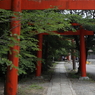 曇りの日は神社