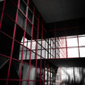 Red Lattice