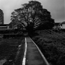 めぐる（1）