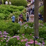 P1080752