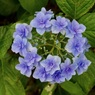 P1090286