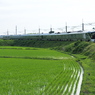 回送四季島…佐々木のカーブ