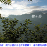 槍ヶ岳登頂の山旅2003：4日目(26)