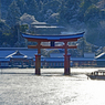 宮島・弥山(みせん)2015：しま山100選・広島県廿日市市(4)