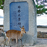 宮島・弥山(みせん)2015：しま山100選・広島県廿日市市(9)