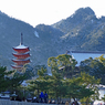 宮島・弥山(みせん)2015：しま山100選・広島県廿日市市(11)