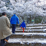 宮島・弥山(みせん)2015：しま山100選・広島県廿日市市(26)