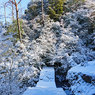宮島・弥山(みせん)2015：しま山100選・広島県廿日市市(32)