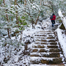 宮島・弥山(みせん)2015：しま山100選・広島県廿日市市(38)